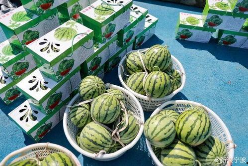 象山吃瓜,吃瓜也能吃出风情万种