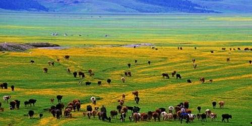 新疆有几个网红打卡景点,探寻西域风情新地标