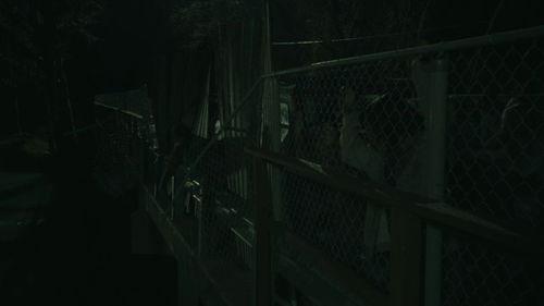 顶爆电影视频在线观看,在线观看，畅享视听盛宴