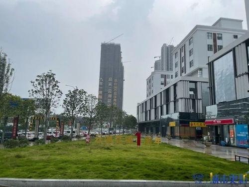 广州白云区最新爆料,揭秘区域发展新动向与民生热点