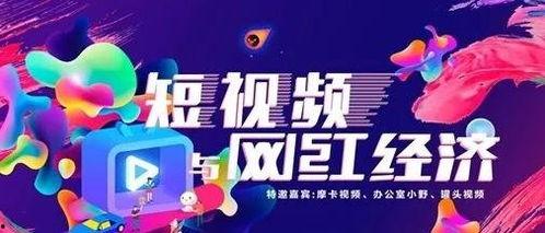 星期六的网红,揭秘网络红人的崛起之路