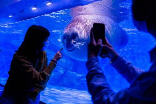 东海网红沙滩,碧海金沙，休闲度假新地标”