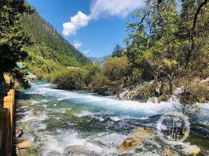 明星九寨沟,明星璀璨下的自然奇观