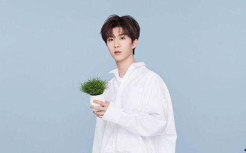 魏大勋爆料范丞丞视频大全,视频大全曝光兄弟情深