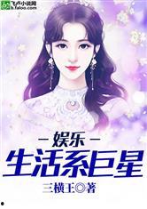 明星系列的小说,明星系列小说的璀璨人生