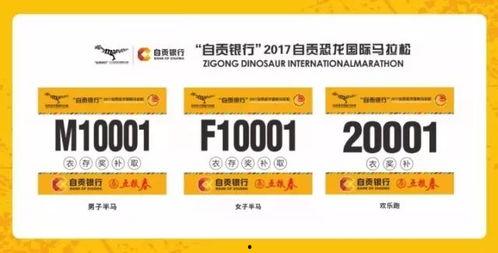 每日大赛编码是什么,揭秘编码背后的精彩故事