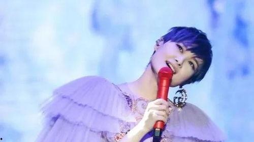 请明星之谷,揭秘“请明星之谷”的璀璨魅力