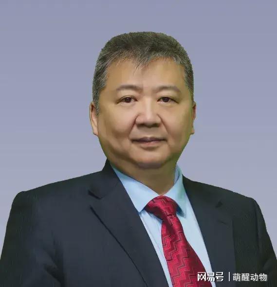 张捷最近爆料视频,揭秘行业黑幕，深度剖析事件真相