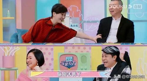 给我讲个明星小度,跨界融合，科技与娱乐的璀璨之星