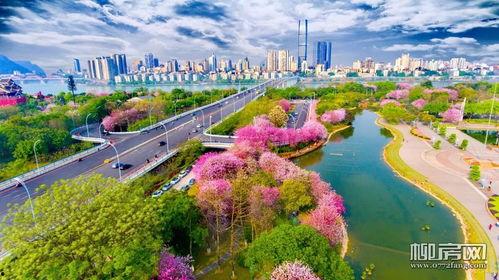 广西柳州来宾网红打卡,探寻广西风情新地标”