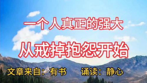 上海今日头条美文,探寻城市魅力，感受生活之美