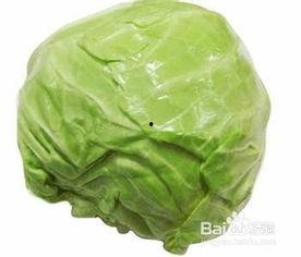 网红卷心菜是谁,揭秘网络红人的崛起之路