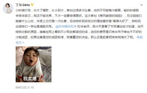 娱乐吃瓜全集免费观看,全集免费观看，揭秘娱乐圈幕后真相