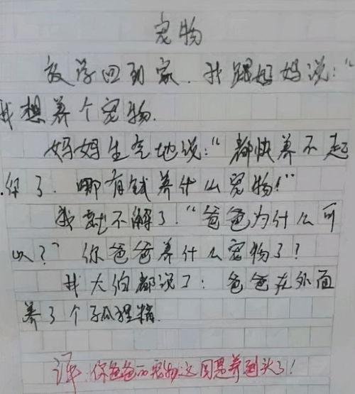 吃瓜作文600字,一场关于吃瓜的作文盛宴